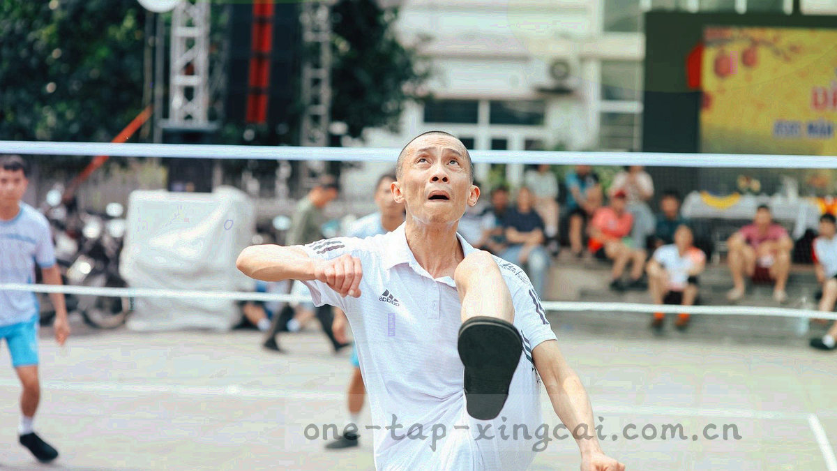 三块并置的抽象色块，分别用荧光青、杏橙与陶土区分